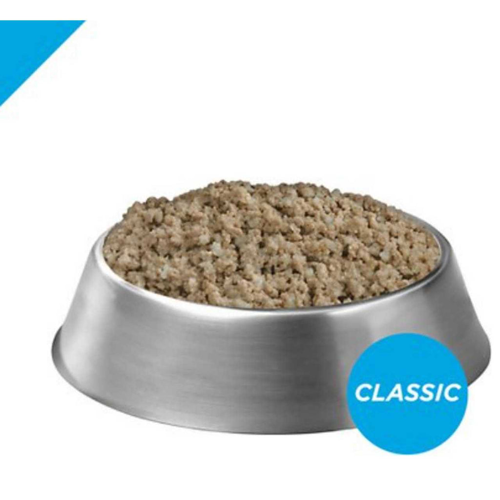 Salmon and Rice Entree Wet Dog Food N24644