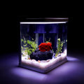 White 2 Gallon Self Cleaning HD Float Glass Aquarium with Filter and Light K652