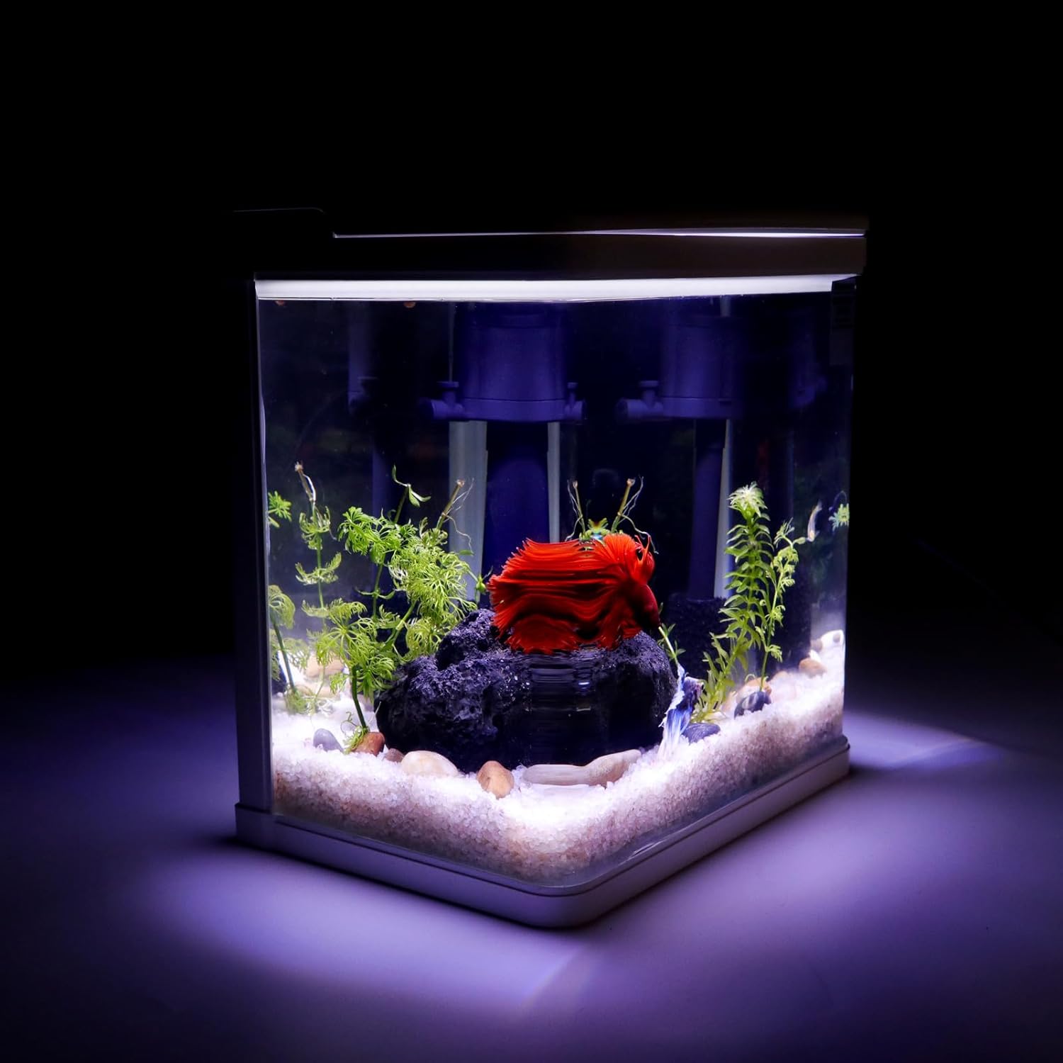 White 2 Gallon Self Cleaning HD Float Glass Aquarium with Filter and Light K652