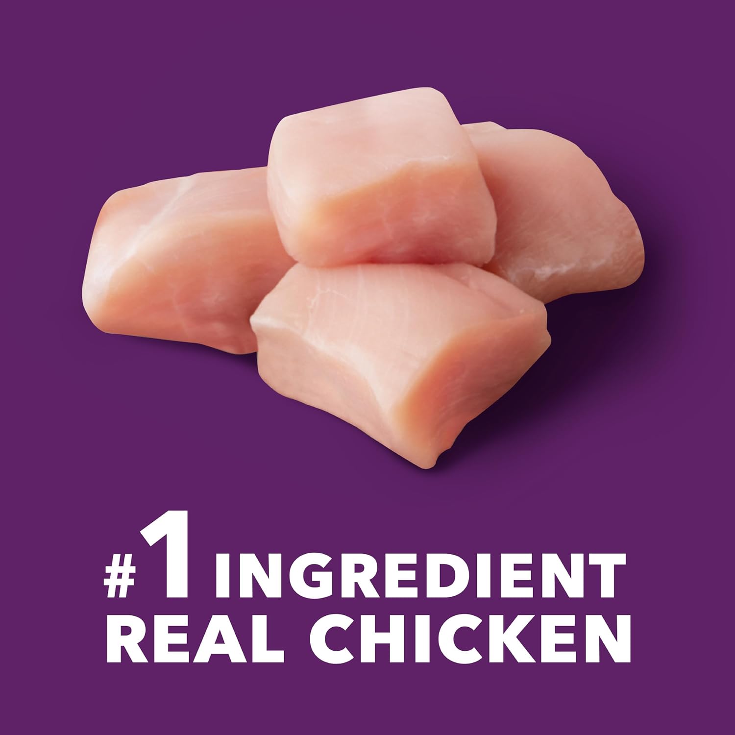 Chicken and Whole Grain Recipe Adult Dry Dog Food, 6 lb. Bag Y5814