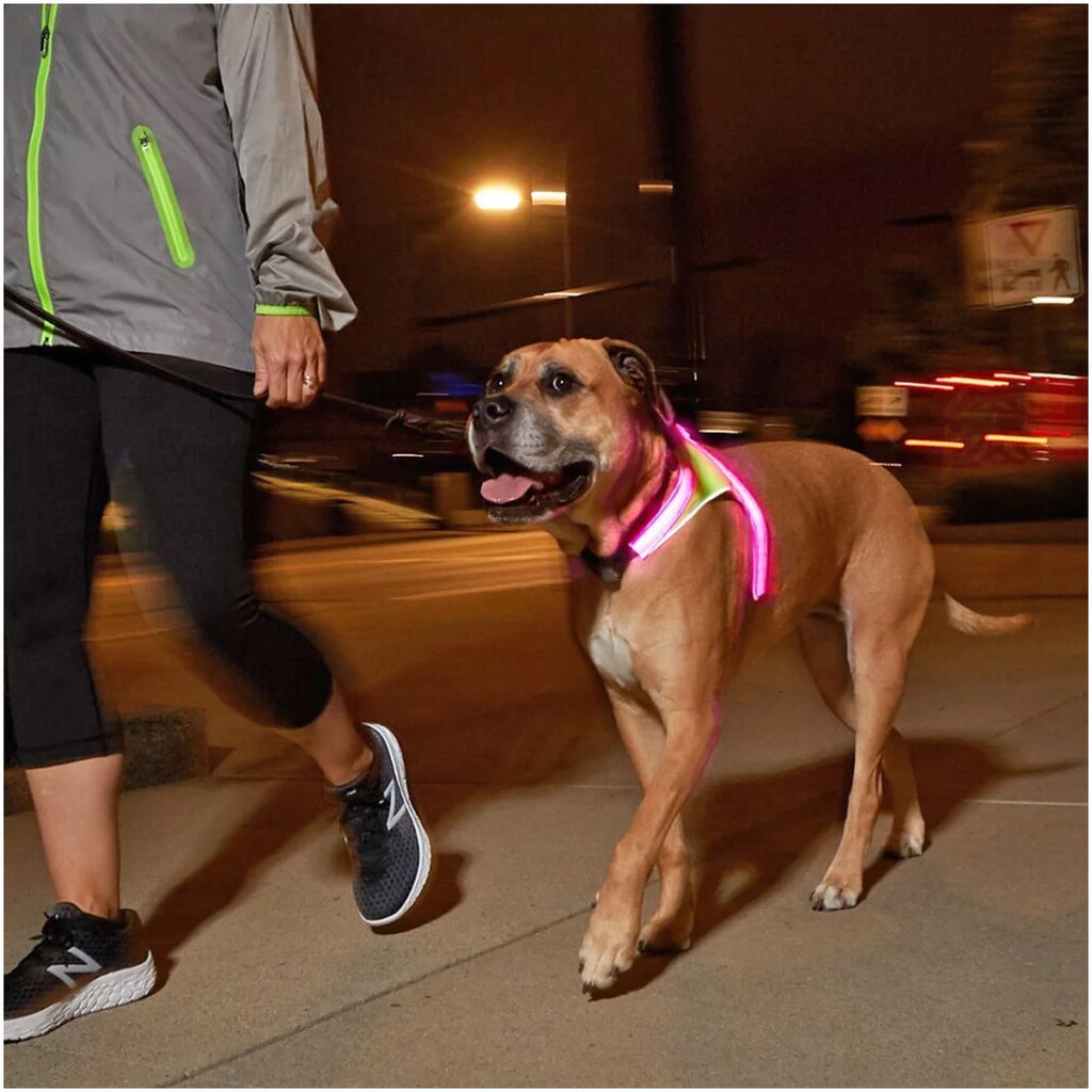 Multicolor Reflective LED Dog Harness J279138