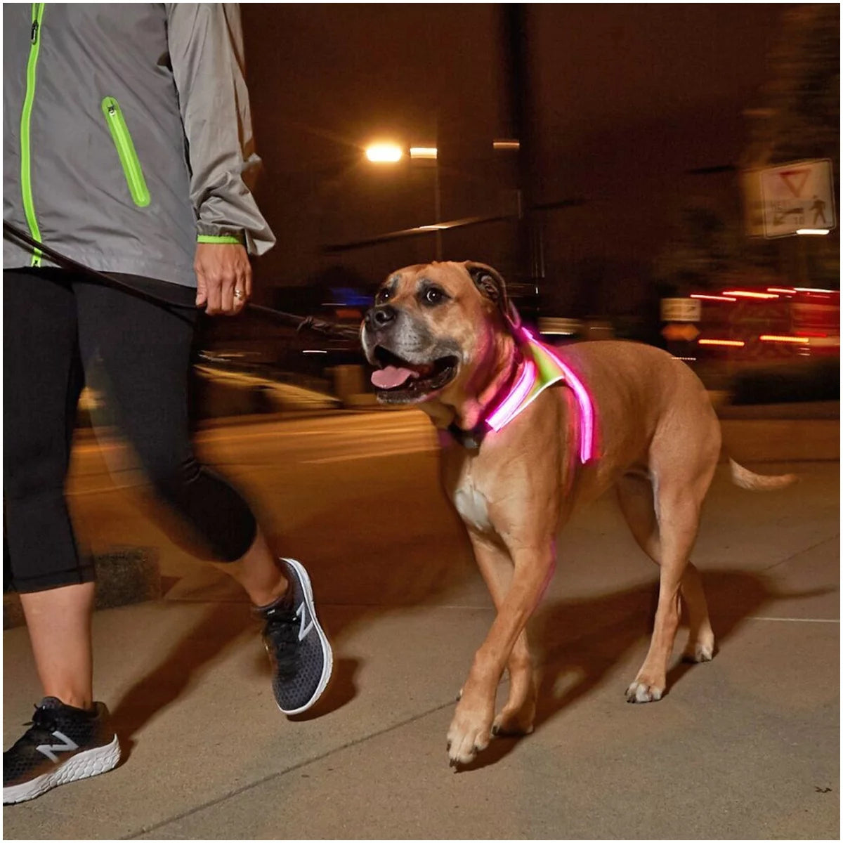 Multicolor Reflective LED Dog Harness J279138