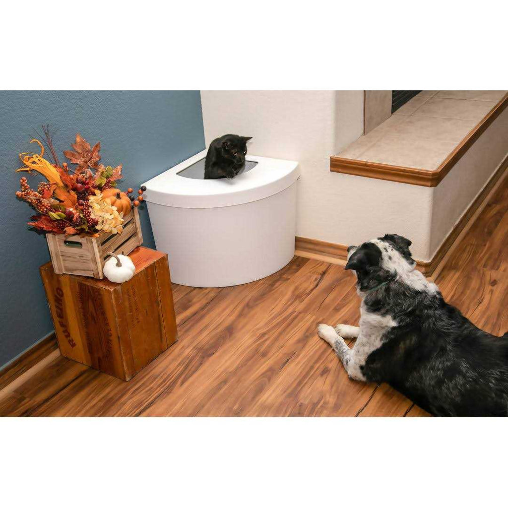Standard Litter Box Kitangle B677