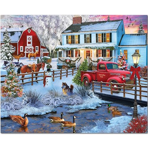 1000 Piece Jigsaw Puzzle 24"x30" K244