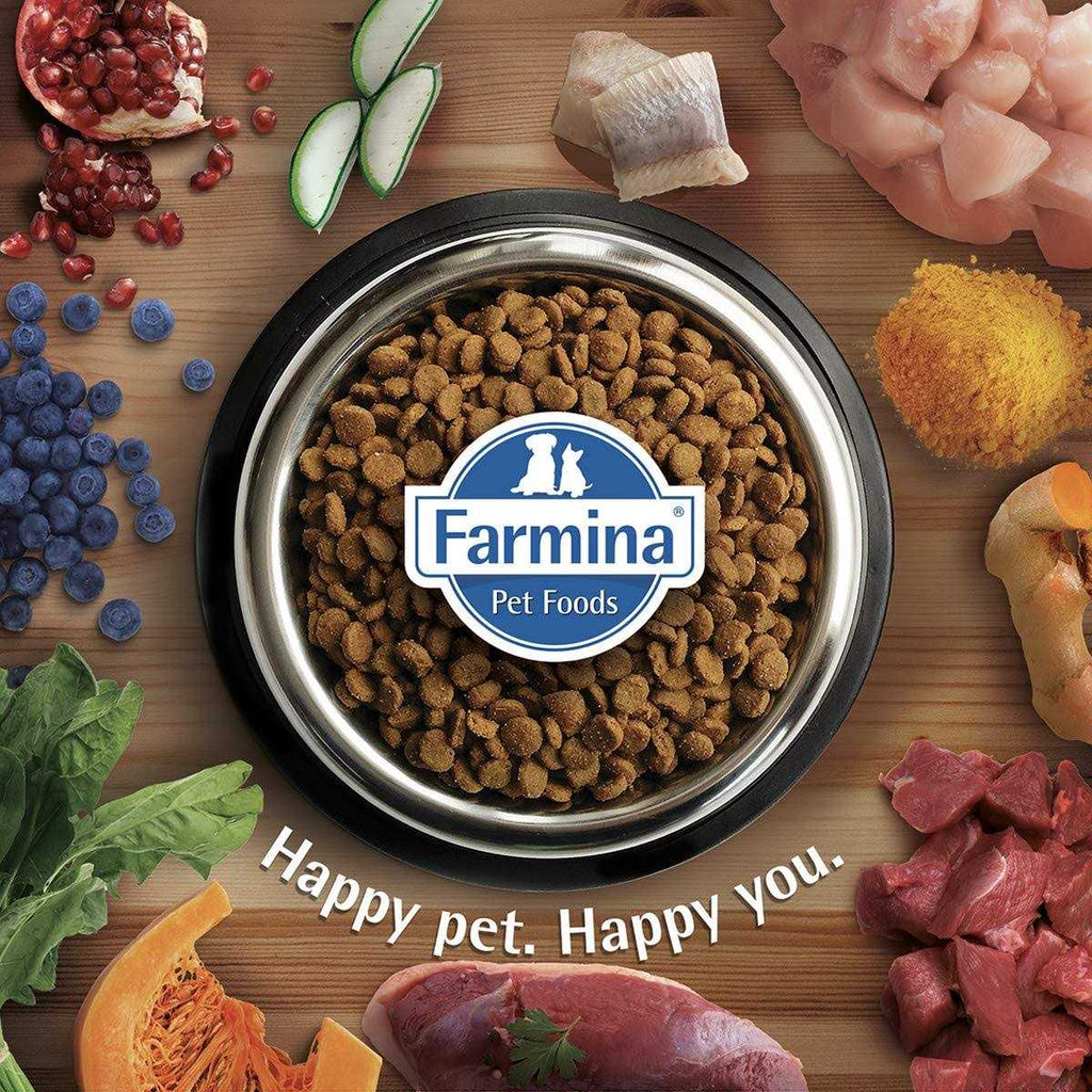 Chicken & Pomegranate Dry Dog Food H49952