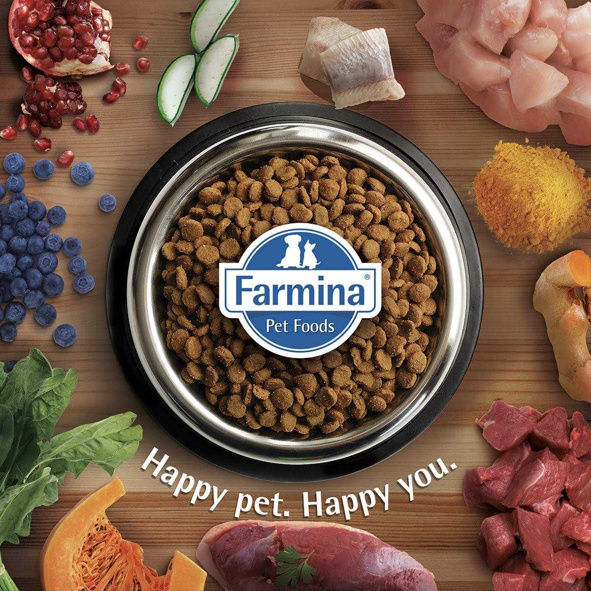 Chicken & Pomegranate Dry Dog Food H49952