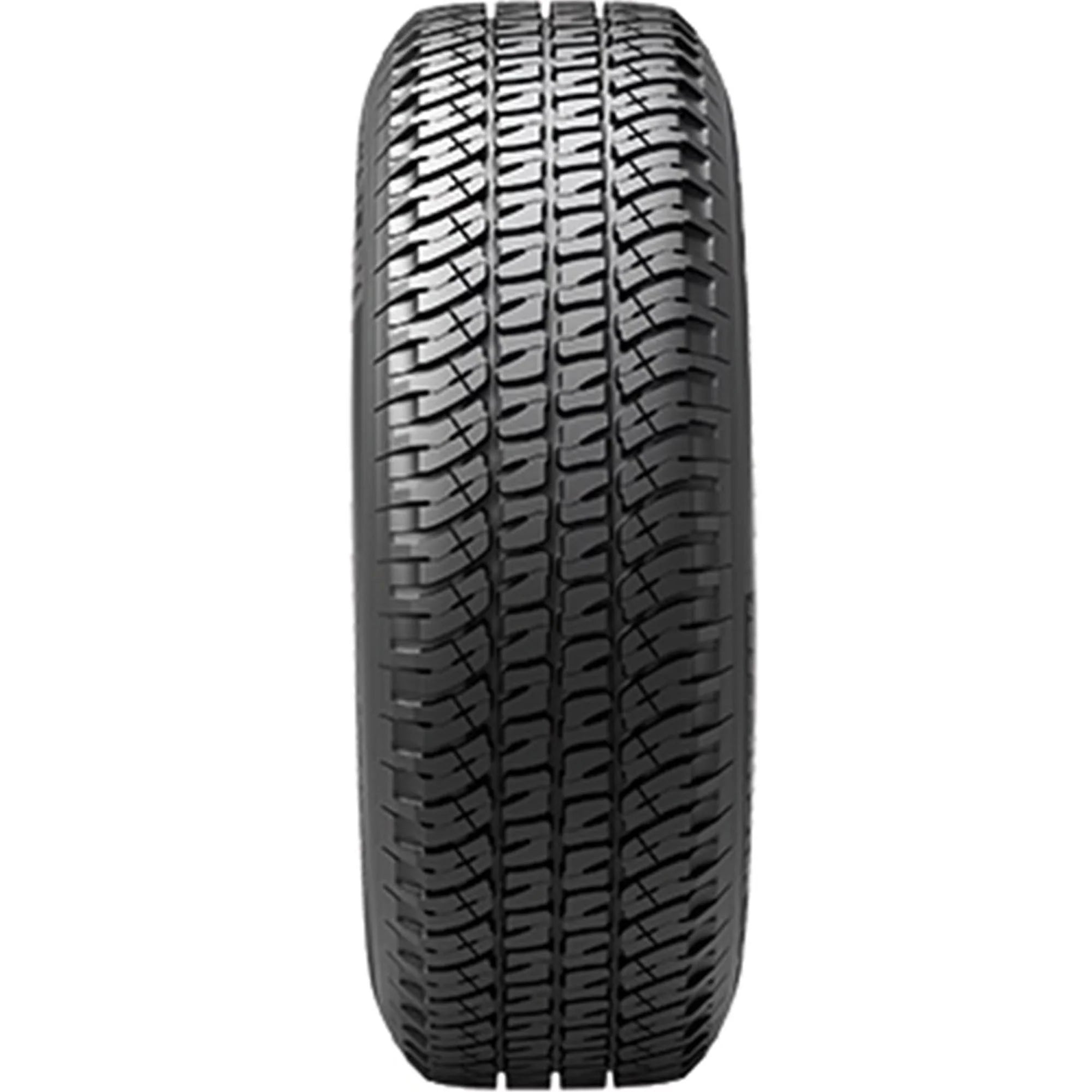 245/65R17 107S All-Season Tire V541583
