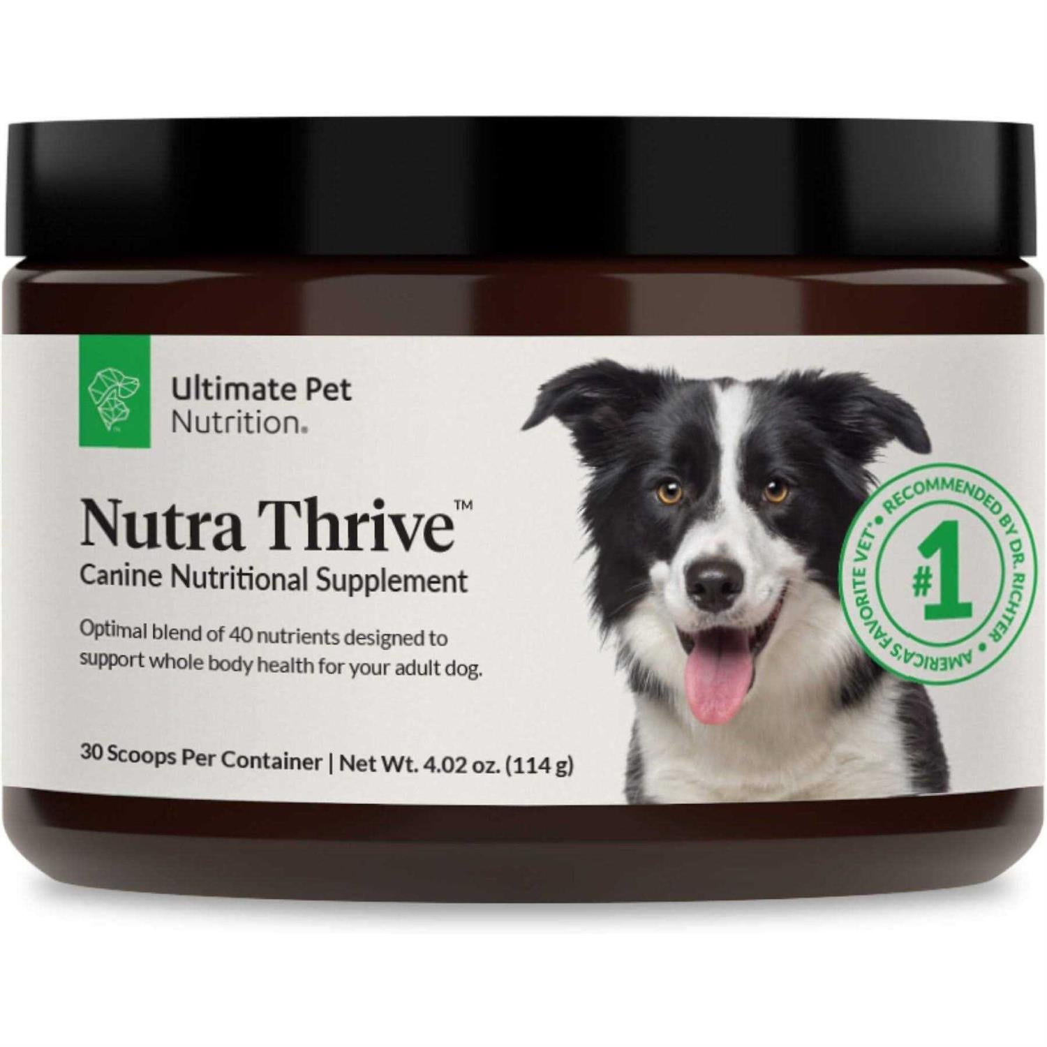 40-in-1 Multivitamin Powder Supplement for Dogs T3175