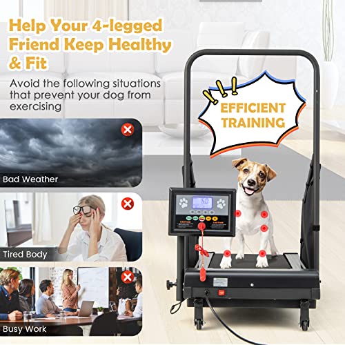 Black Pet Treadmill with Remote Control and 1.4'' Display Screen Y6825