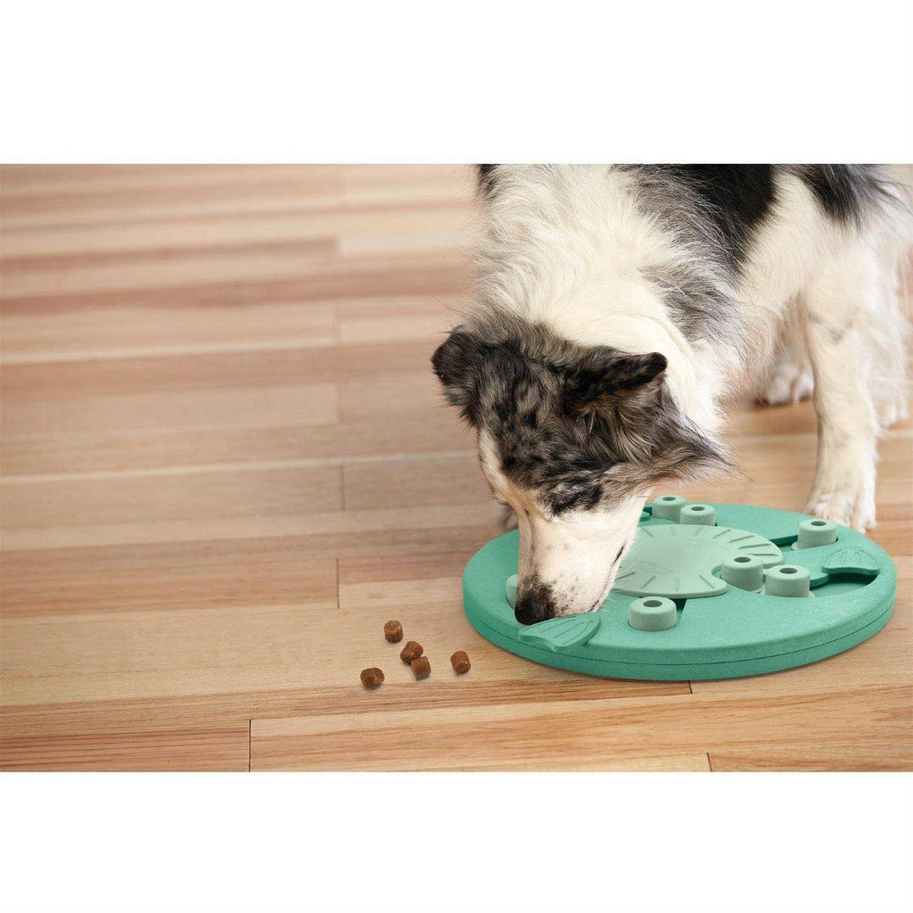 Interactive Puzzle Dog Toy R8784
