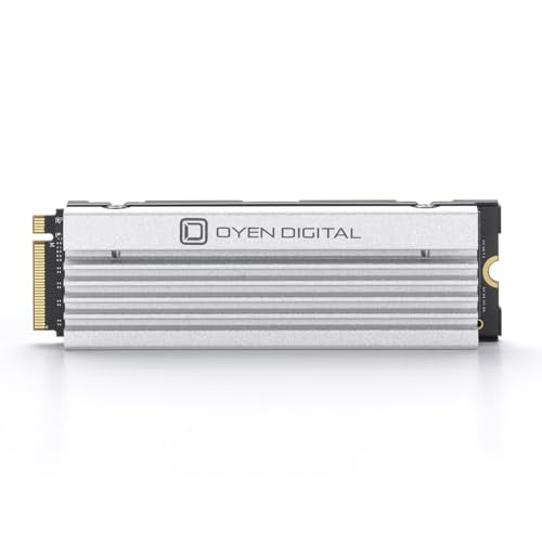 4TB NVMe PCIe TLC NAND SSD with Heatsink W4876