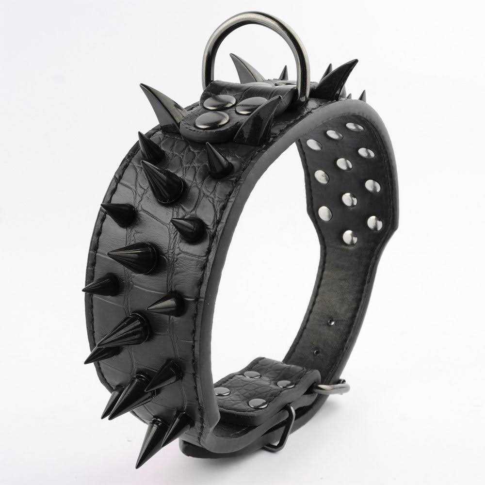2 Inch Leather Dog Collar P4020