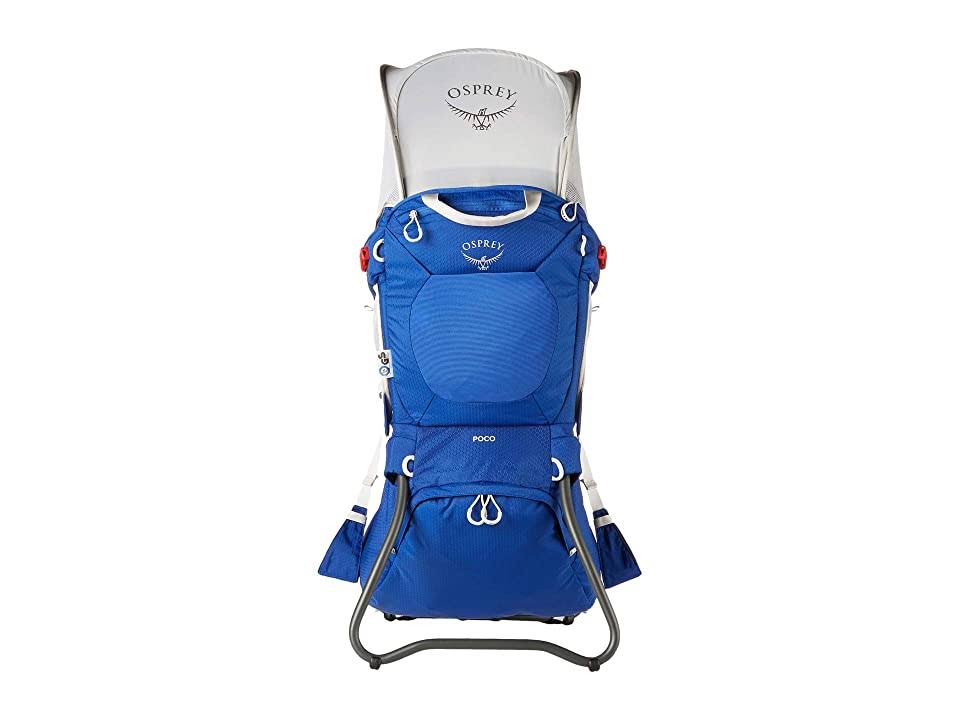 Blue Sky Child Carrier V21458