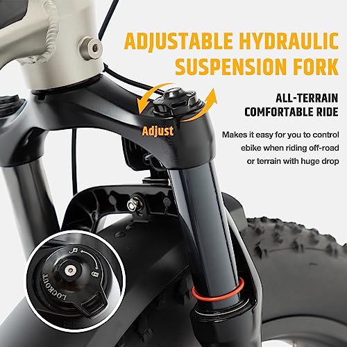 26" Fat Tire Electric Bike with 750W Brushless Motor 48V 15AH Removable Battery Q50015
