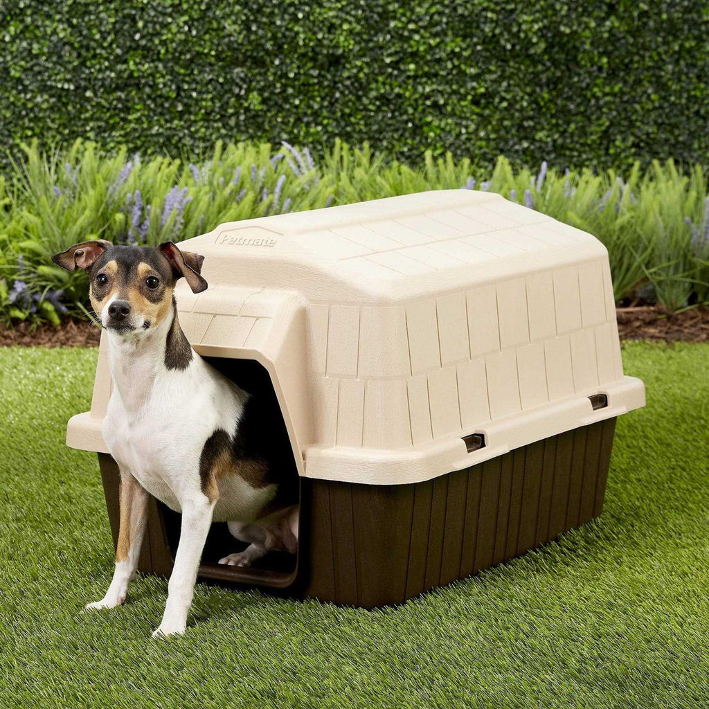 3 Dog House B213