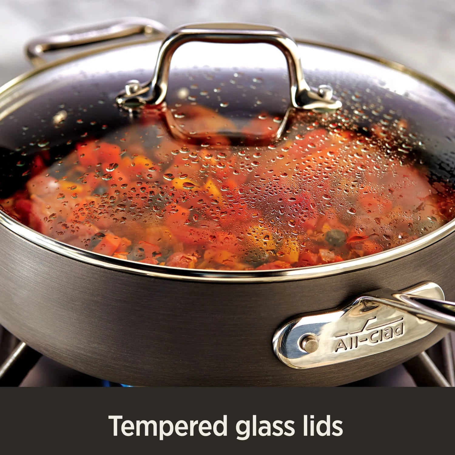 12-Inch Hard Anodized Nonstick Fry Pan with lid B150