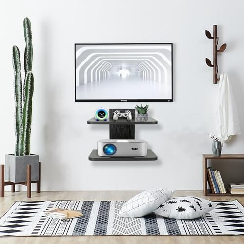 Floating Shelf (2 Shelf) X84067