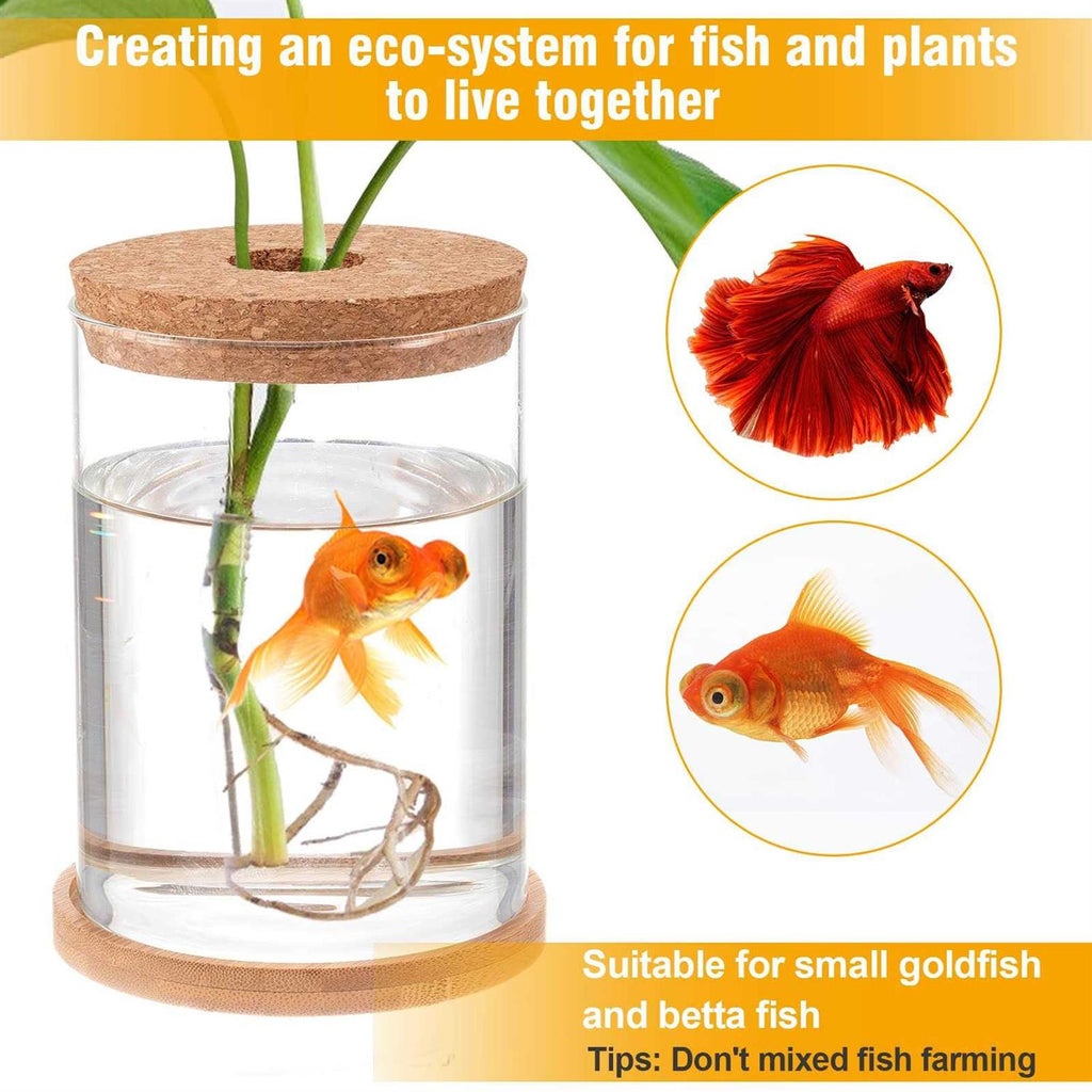 Clear Glass Betta Fish Tank M627037