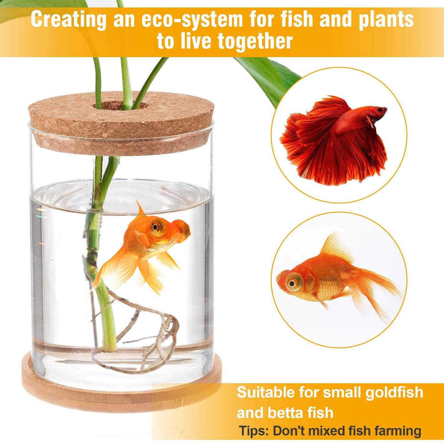 Clear Glass Betta Fish Tank M627037