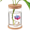 Clear Glass Betta Fish Tank M627037
