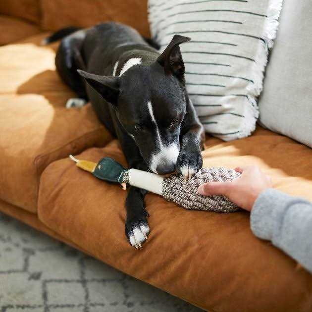 Rope Duck Crinkle Dog Toy P16242