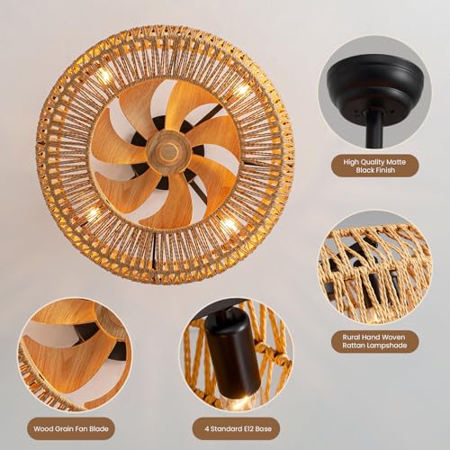 20" Caged Ceiling Fan with Lights Remote Control B7612