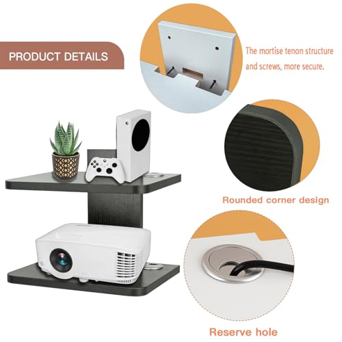Floating Shelf (2 Shelf) X84067