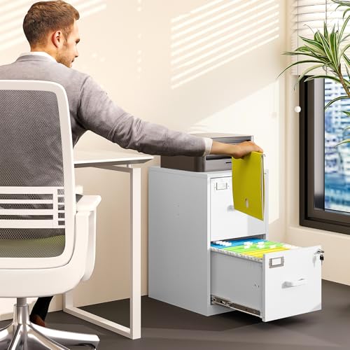 2 Drawer Steel Vertical File Cabinet with Lock F259
