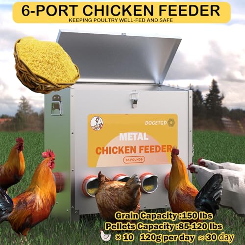 85lbs Metal Poultry Feeder (10-Port) Q4562