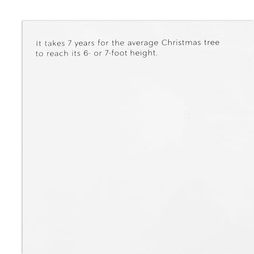 20 Christmas Cards and 20 Envelopes M924372