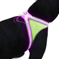 Multicolor Reflective LED Dog Harness J279138