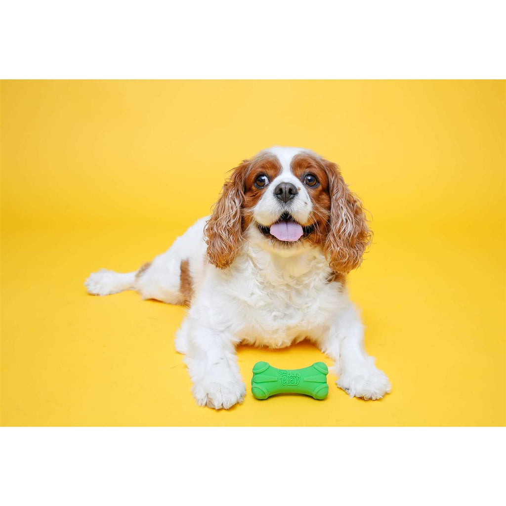 Squeaky Latex Dog Toy A84772