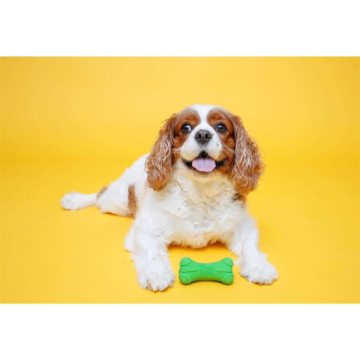 Squeaky Latex Dog Toy A84772