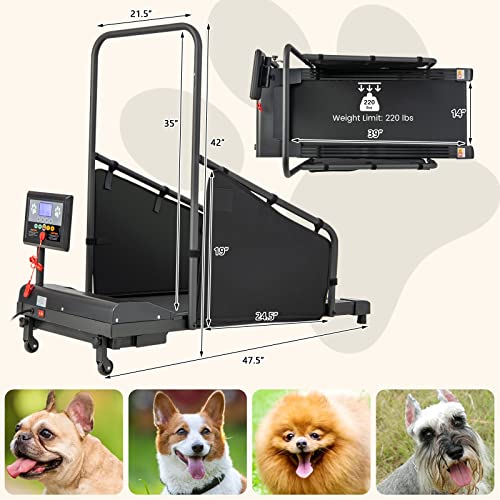 Black Pet Treadmill with Remote Control and 1.4'' Display Screen Y6825