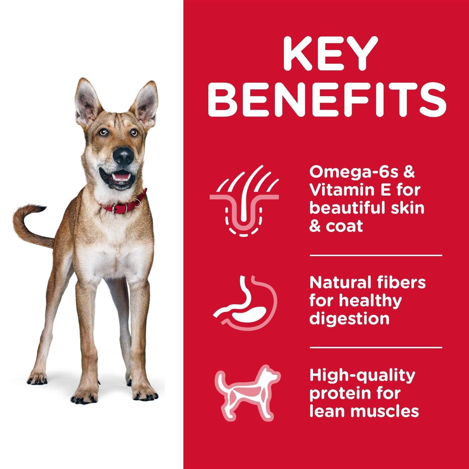 Adult Chicken & Barley Dry Dog Food E424476