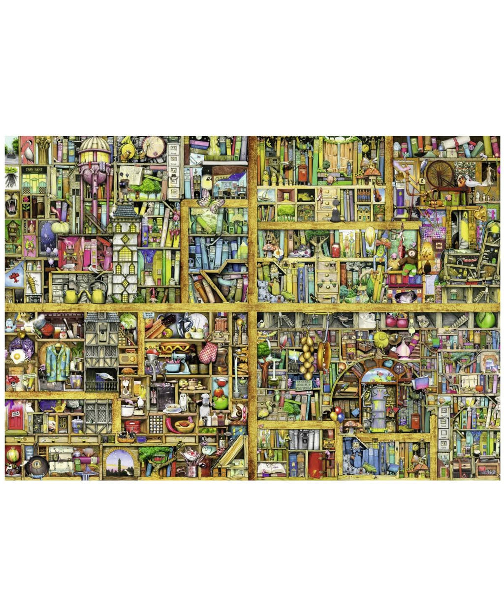 Magical Bookcase Puzzle V5490