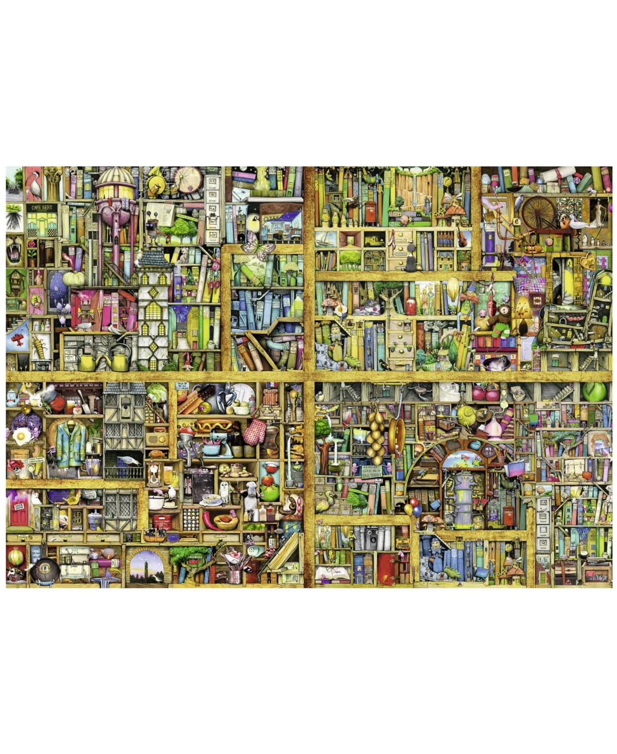 Magical Bookcase Puzzle V5490
