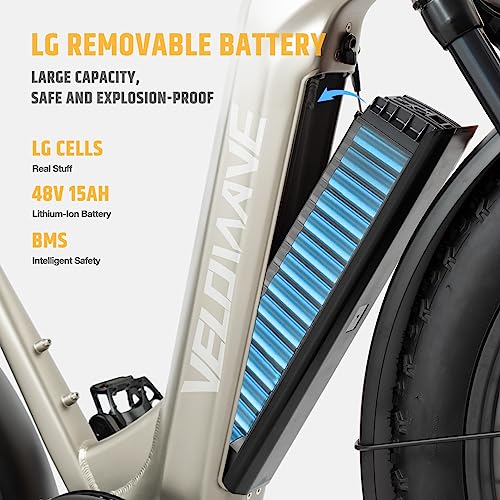 26" Fat Tire Electric Bike with 750W Brushless Motor 48V 15AH Removable Battery Q50015