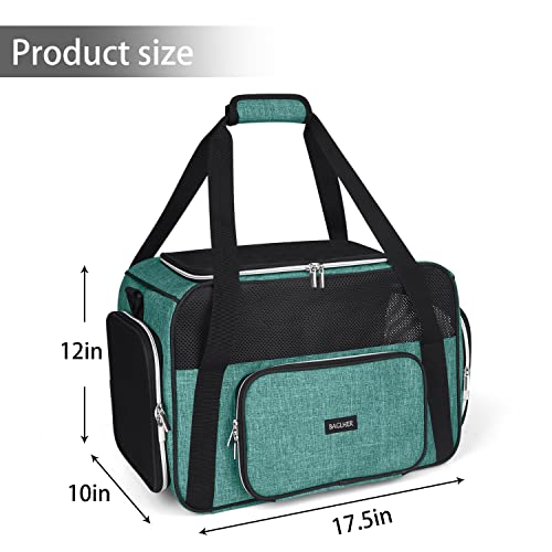 Green Soft Sided Pet Travel Carrier S89040