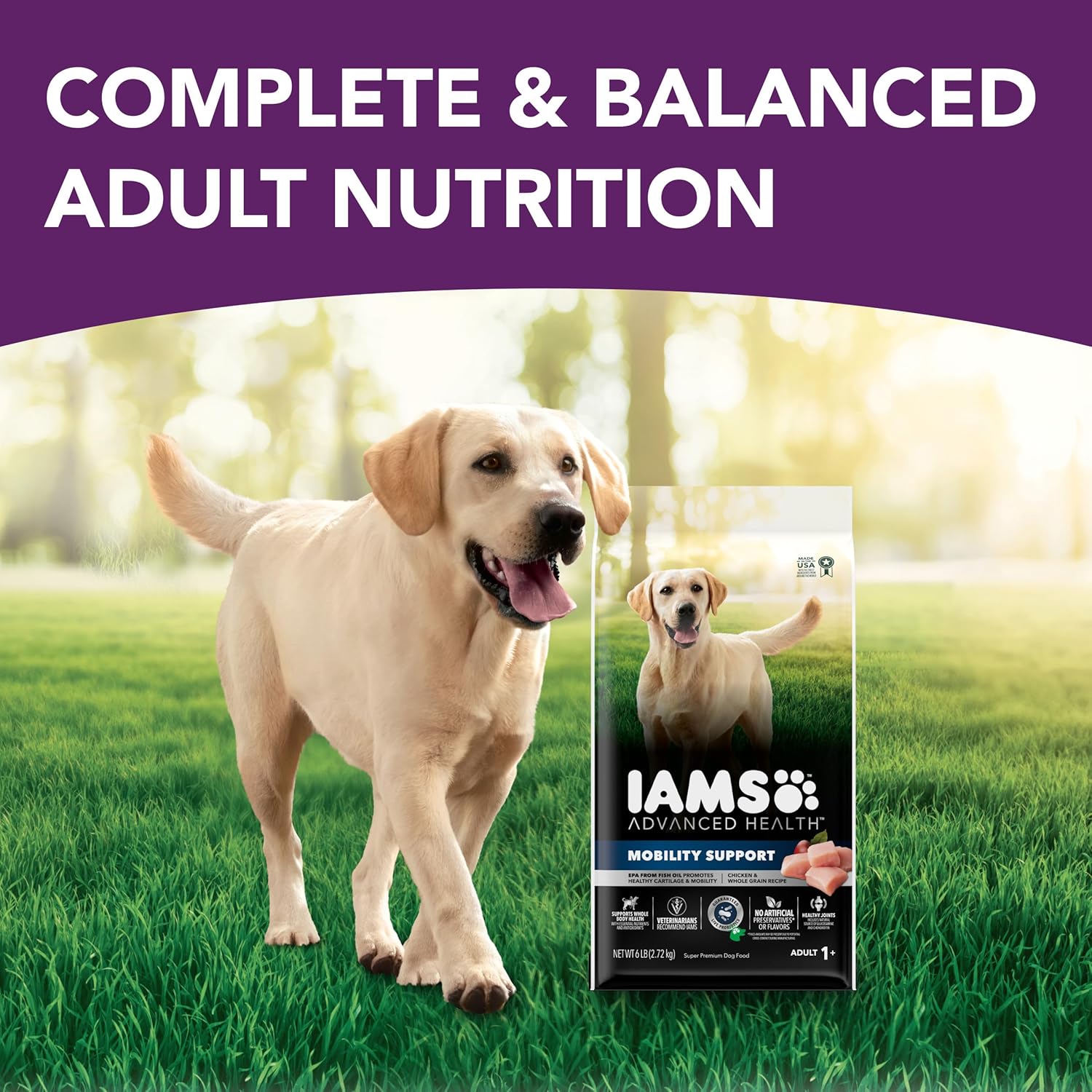 Chicken and Whole Grain Recipe Adult Dry Dog Food, 6 lb. Bag Y5814