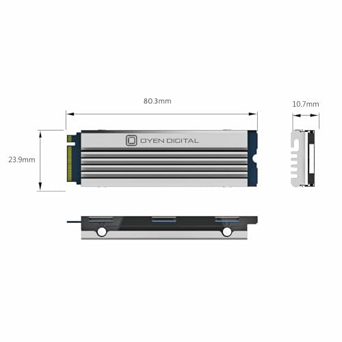 4TB NVMe PCIe TLC NAND SSD with Heatsink W4876