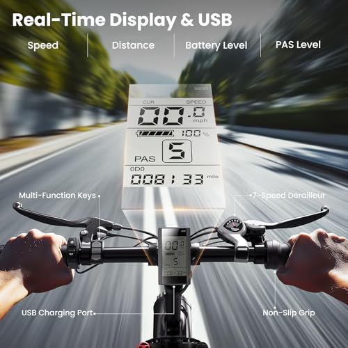 Electric Bike 1000W Peak Motor 48V 15.6Ah Removable Battery 20" Fat Tire 7-Speed H868637