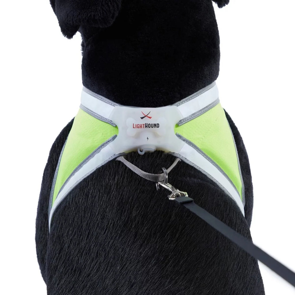 Multicolor Reflective LED Dog Harness J279138