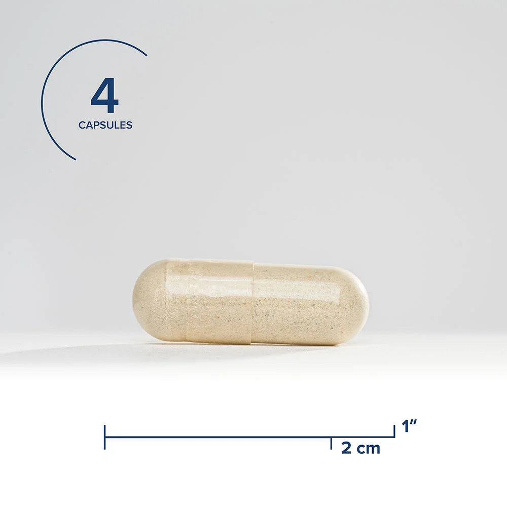 120 Capsules Multivitamin with Iron and Active B Vitamins R824