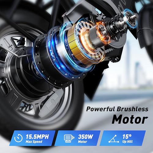 Folding Electric Bicycle with 350W Motor and 36V 7.5Ah Battery P32999