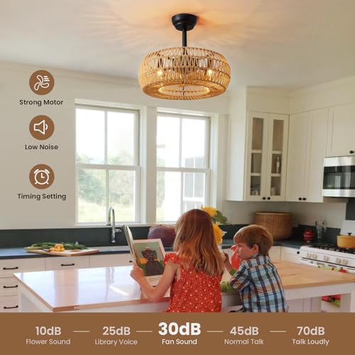 20" Caged Ceiling Fan with Lights Remote Control B7612