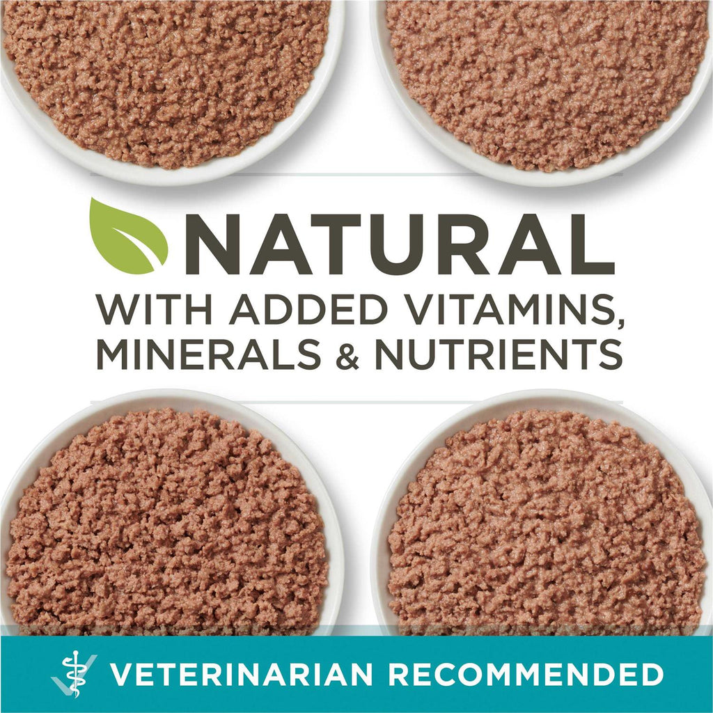 High Protein Grain Free Pate Wet Cat Food Variety Pack Y176000
