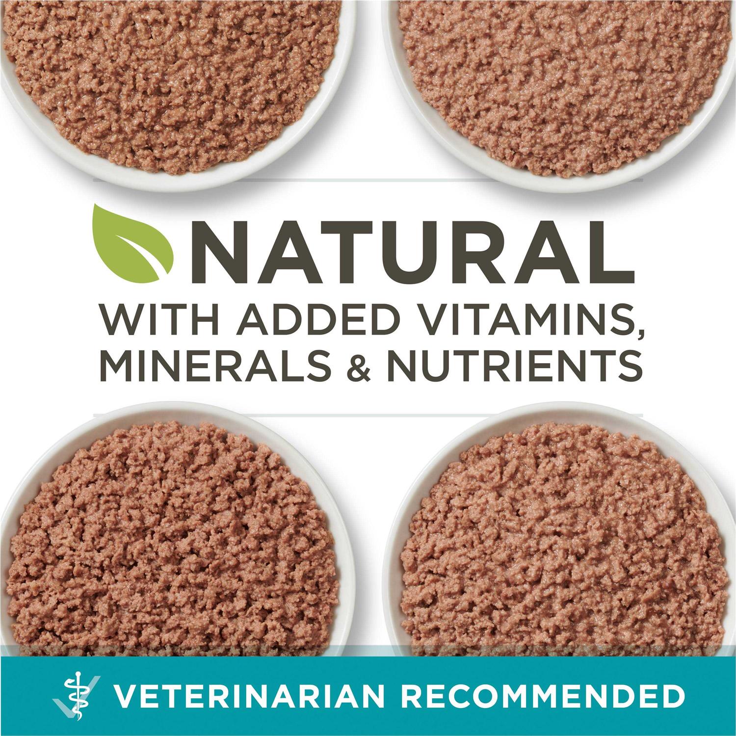 High Protein Grain Free Pate Wet Cat Food Variety Pack Y176000