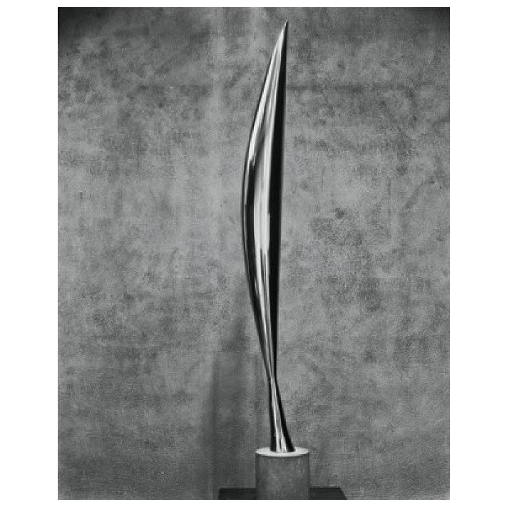 Bird in Space 1919 Bronze O23828