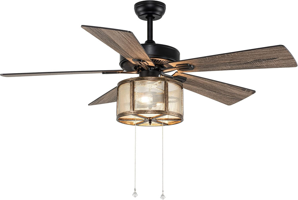 Matte Black Caged Ceiling Fan with Lights Remote Control I867